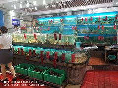 水产区-海大大蒸汽海鲜餐厅·粤菜·特色小炒(欢乐颂店)
