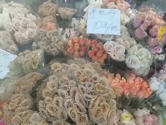 -三圣花乡旅游区