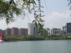 -天鹅湖体育公园