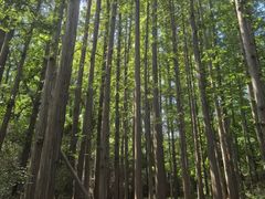 -棒棰岛宾馆景区