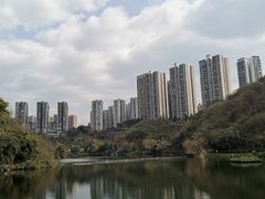 -重庆彩云湖湿地公园
