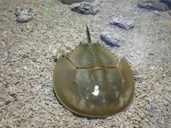 -重庆欢乐海底世界