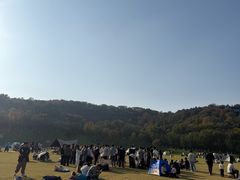 -羊山湖公园