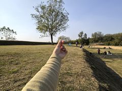 -盘龙城国家考古遗址公园