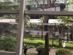 -国际邮轮中心码头(厦鼓码头)