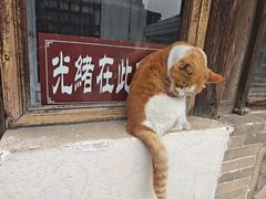 -鸡鸣驿城