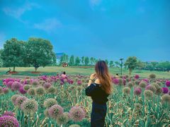 -武汉紫薇都市田园