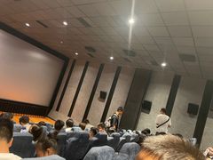 -华美国际影城(旧宫永辉店)