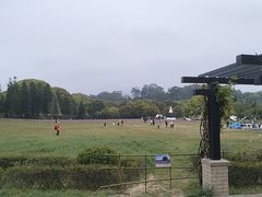 -福建鲤鱼洲酒店