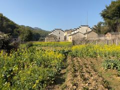 -灵山景区梯田