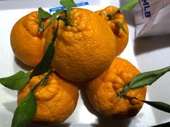 -西归浦每天偶来市场