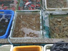 -霞涌市场海鲜摆卖区