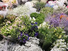 -双季花艺园艺市场(浦东店)