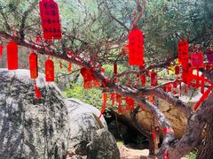 -崂山仰口游览区