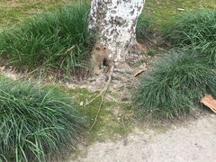 -南通博物苑-崇川人民公园