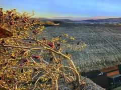-汉拿山(包河万达店)