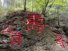 -镇江市南山风景名胜区竹林景区