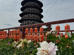 -隋唐洛阳城明堂天堂景区