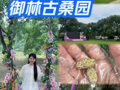 -御林古桑园