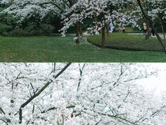 -中国茶叶博物馆(双峰馆区)