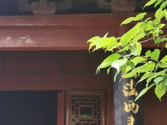 -洛阳白马寺