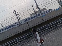 -海堤纪念公园