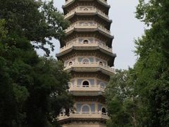 -灵谷景区