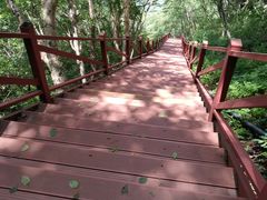 -白草畔自然风景区