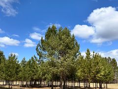 -北极村旅游风景区