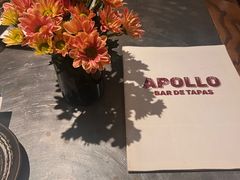 -Apollo·西班牙小酒馆(安福路店)