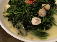 -上海虹桥西郊假日酒店