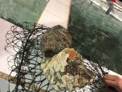 -海盗餐厅