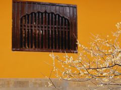 -西园戒幢律寺
