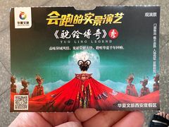 -《驼铃传奇》秀