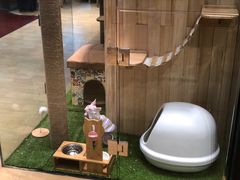 -藏猫猫咖啡主题馆(中央大道店)