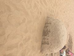 老虎石公园-老虎石海上公园