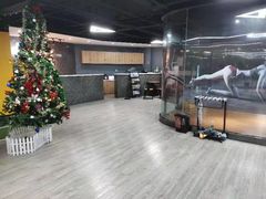 -ENERGY原力健身(川周店)