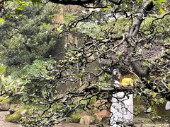 -南山植物园