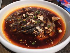 凉拌鸡-铁公鸡·四川料理(天环广场店)