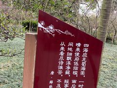 -棠湖公园