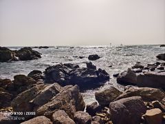 -双合园·海鲜水饺青岛菜(万佳广场店)