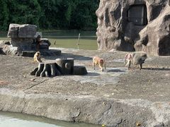 -宁波野生动物园