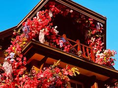 -思南公馆商业街