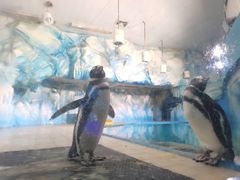 -常州海昌海洋探索馆