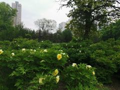 -迎泽公园