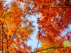 -白鹭湾湿地公园