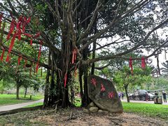 -红色娘子军纪念园