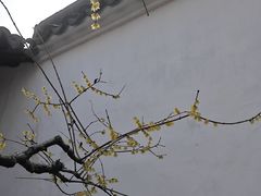 -不晚酒店(苏州观前平江路店)