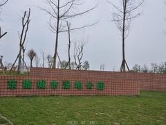 -眉山湿地公园(东坡区)