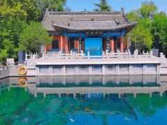 -百脉泉景区